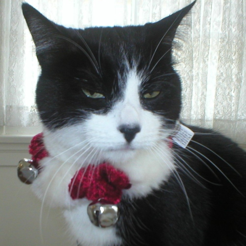 Meet your Posher, Merri